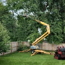 Best Tree Maintenance Programs  in Oologah, OK