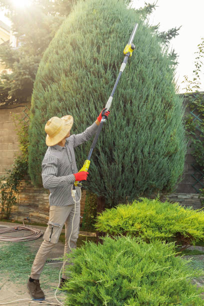 Best Storm Damage Tree Cleanup  in Oologah, OK